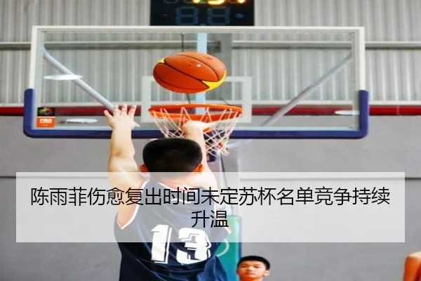 陈雨菲伤愈复出时间未定苏杯名单竞争持续升温